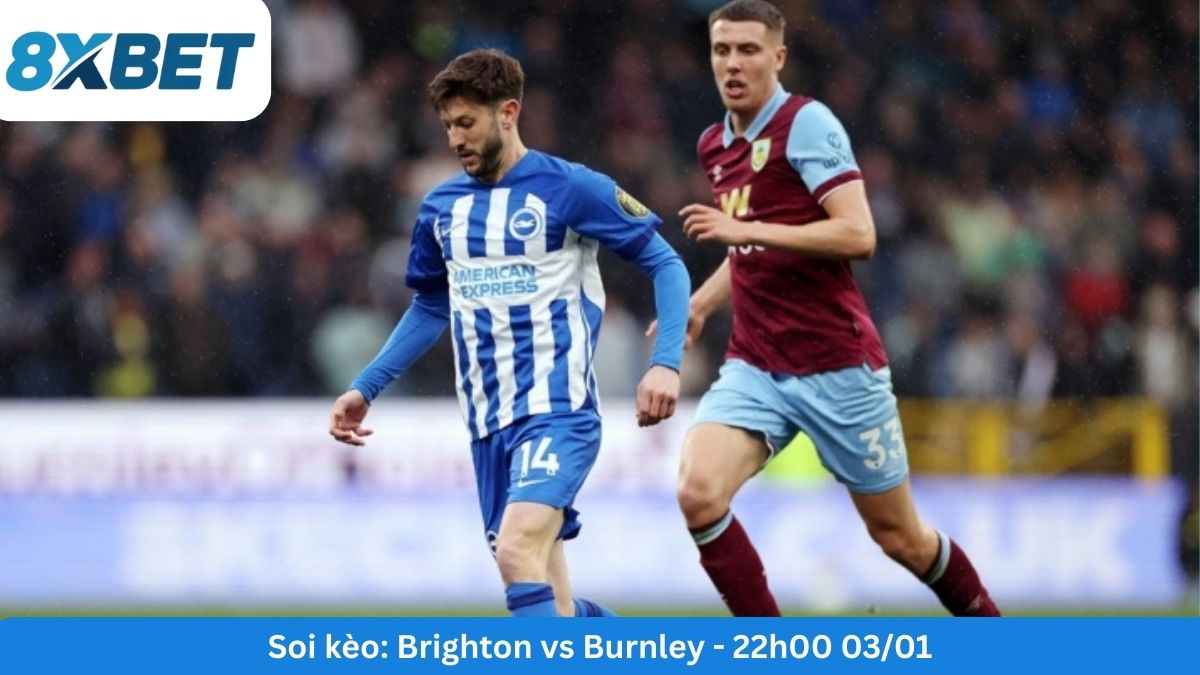 soi-keo-brighton-vs-burnley-vong-20-ngoai-hang-anh